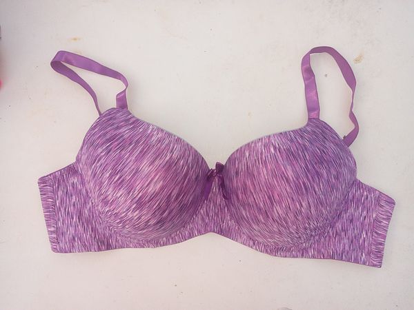 images455661